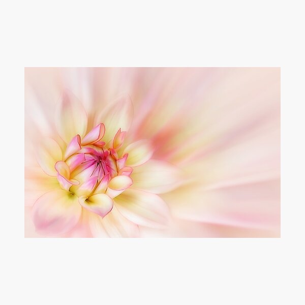 Item preview, Dahlia designed and sold by Creative by Design.