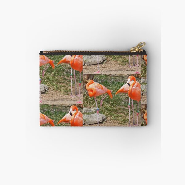 Item preview, Bermuda - Flamingos designed and sold by jezebel521.