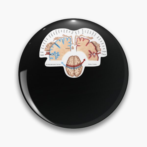 Item preview, Cortical-Homunculus-Illustration designed and sold by sandayhaan.