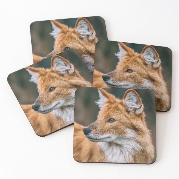 Item preview, Dhole Portrait designed and sold by Elisabeth Lucas.
