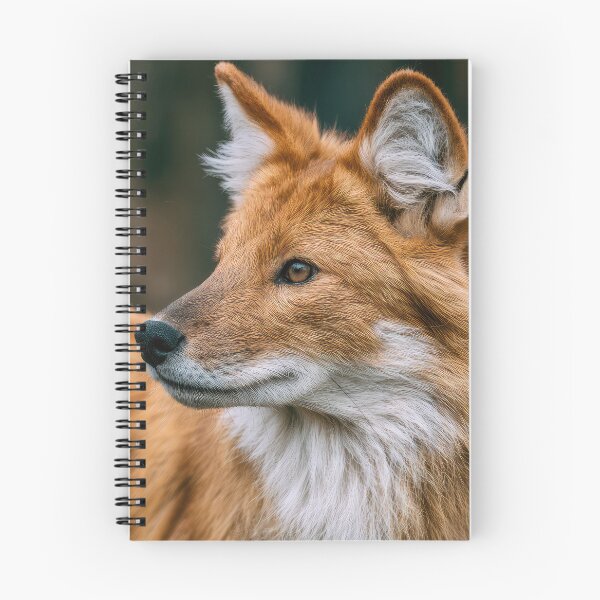Item preview, Dhole Portrait designed and sold by Elisabeth Lucas.