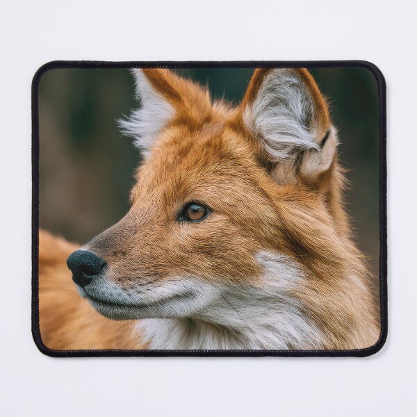 Item preview, Dhole Portrait designed and sold by Elisabeth Lucas.