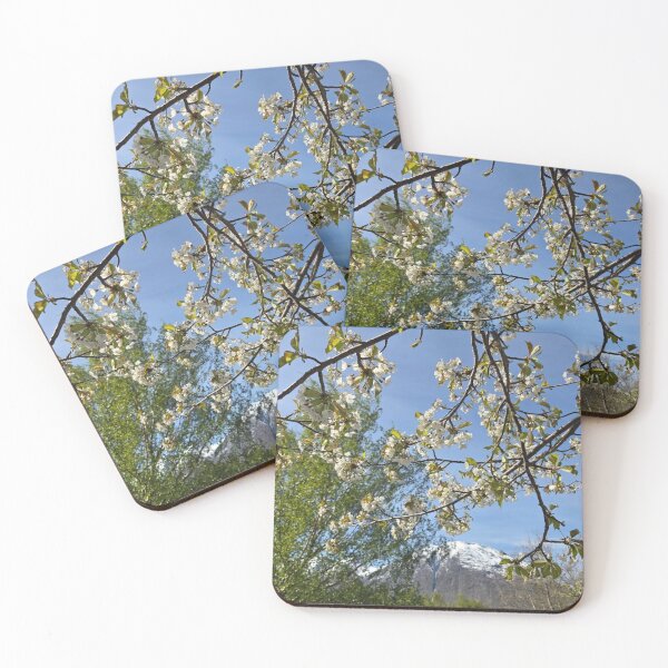 Item preview, Rainforest Leaf Wonders designed and sold by Seriseordon.