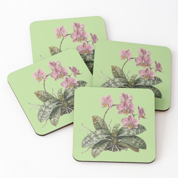 Item preview, Phalaenopsis schilleriana: The Silver Motley designed and sold by FreiherrPK.