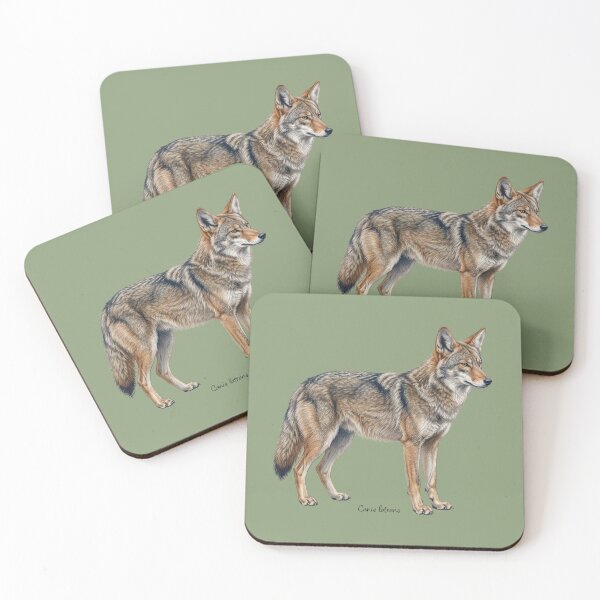 Item preview, Canis latrans: The Unconquered Scavenger designed and sold by FreiherrPK.