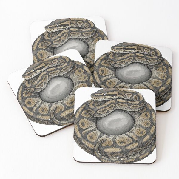 Item preview, Vintage Naturalist Ball Python Coiled Around a Pebble — Antique Reptile Art designed and sold by Catch333.