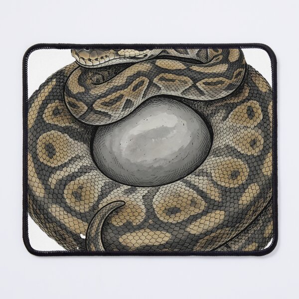 Item preview, Vintage Naturalist Ball Python Coiled Around a Pebble — Antique Reptile Art designed and sold by Catch333.