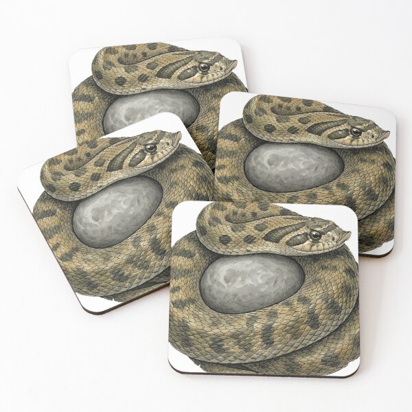 Item preview, Vintage Naturalist Hognose Snake on a Pebble — Antique Reptile Print designed and sold by Catch333.