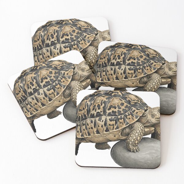 Item preview, Vintage Naturalist Leopard Tortoise on a Pebble — Antique Tortoise Art designed and sold by Catch333.