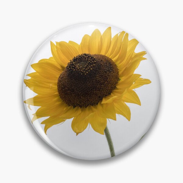 Item preview, Bright Sunflower Duo Against Pale Milky Sky designed and sold by Georgia Mizuleva.