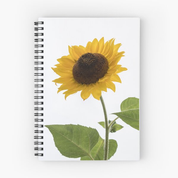Item preview, Bright Sunflower Duo Against Pale Milky Sky designed and sold by Georgia Mizuleva.