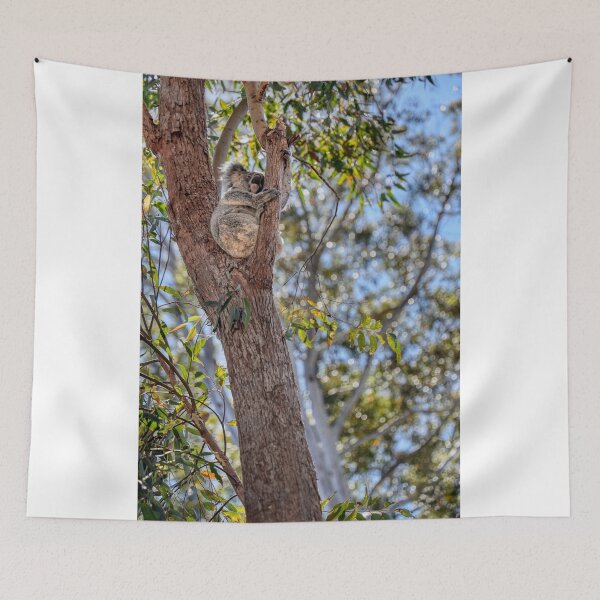 Item preview, Safe designed and sold by Carolyn's Captures - Original Photohgraphy.