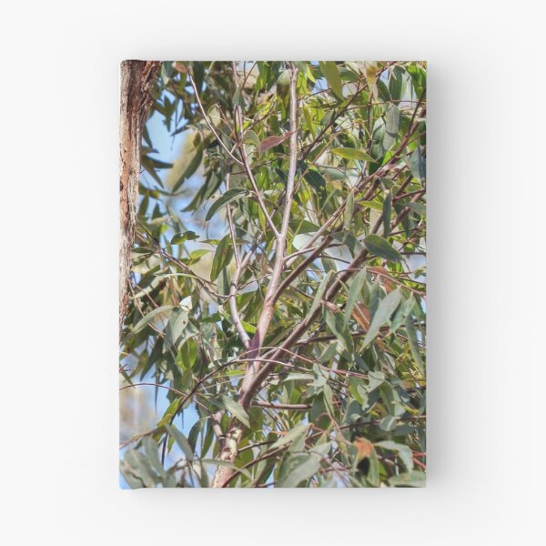Item preview, Resting designed and sold by Carolyn's Captures - Original Photohgraphy.