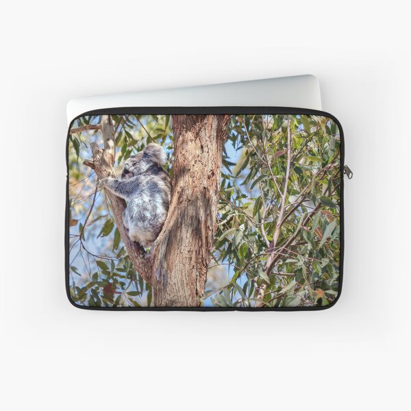 Item preview, Resting designed and sold by Carolyn's Captures - Original Photohgraphy.