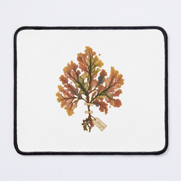 Item preview, Pressed Seaweed Art | Victorian Herbarium Coastal Botanical Art | Seaside Home Gift designed and sold by Brackenlume Studio.