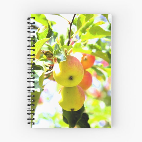 Item preview, Apple tree photograph designed and sold by Natimo-Studio.