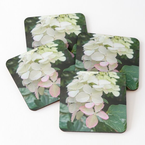 Item preview, Beautiful white and pink hydrangea flowers growing in the garden designed and sold by Enerjetal.