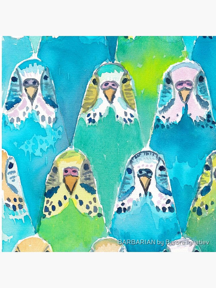 Watercolour Budgies by Barbarian
