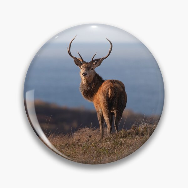 Item preview, Monarch designed and sold by RedGrouse.