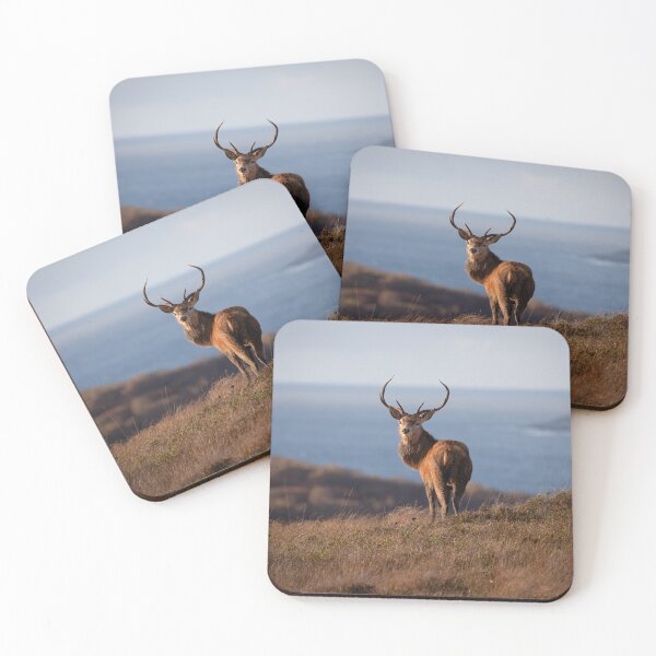 Item preview, Monarch designed and sold by RedGrouse.