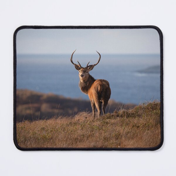 Item preview, Monarch designed and sold by RedGrouse.
