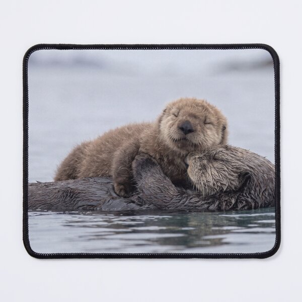 Item preview, Adorable Baby Sea Otter Cuddling Mother Cute Wildlife Photography designed and sold by roverte.