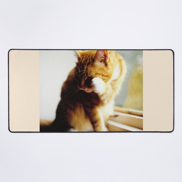 Item preview, Ginger and white cat cleaning photograph designed and sold by Natimo-Studio.