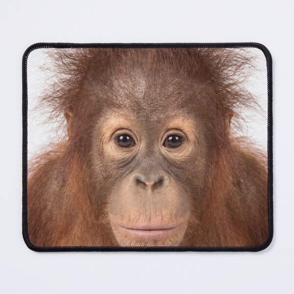 Item preview, Adorable Baby Orangutan Portrait  designed and sold by roverte.