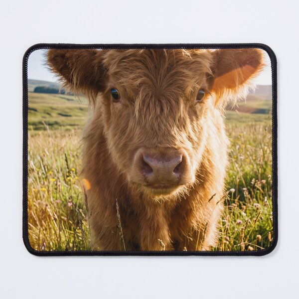 Item preview, Cute Baby Highland Cow in Wildflower Meadow designed and sold by roverte.
