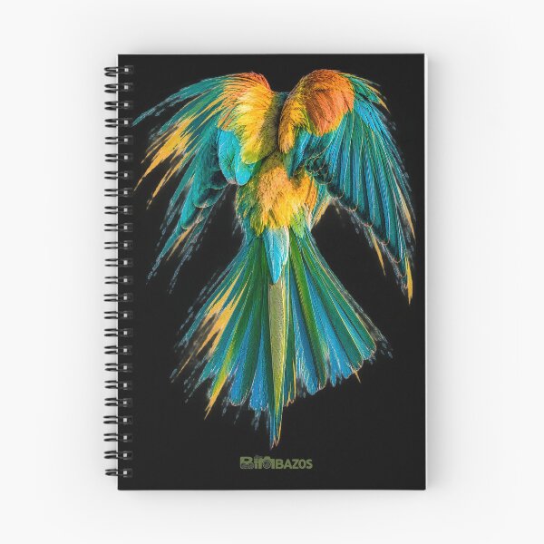 Item preview, Bee-eater Photo - Graffiti designed and sold by BIMBAZOS.