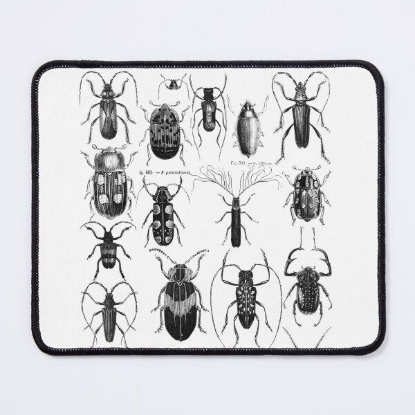 Item preview, Antique Beetle Engraving – Vintage Entomology and Natural History designed and sold by Prepress.