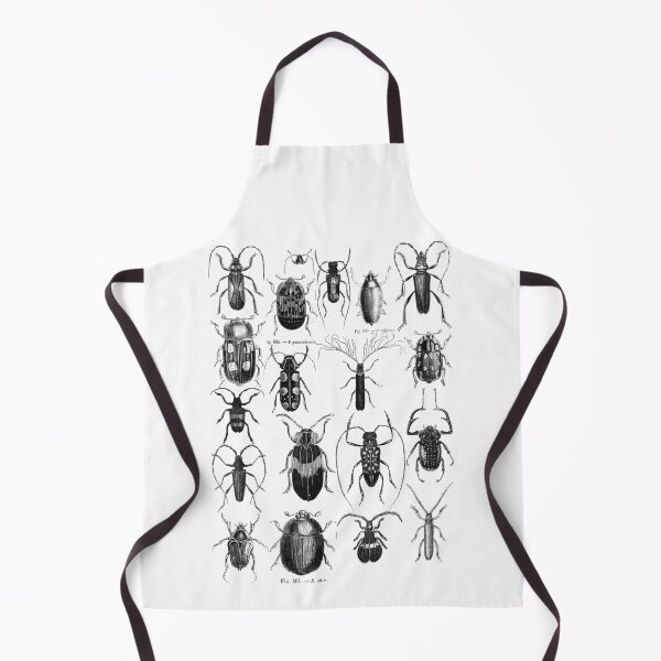 Item preview, Antique Beetle Engraving – Vintage Entomology and Natural History designed and sold by Prepress.
