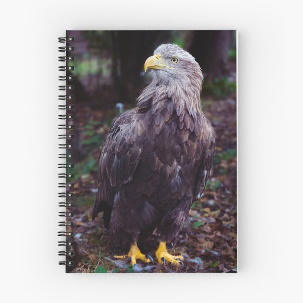 Item preview, Majestic Eagle Photography – Wildlife & Nature Motif designed and sold by Tammigrafie.