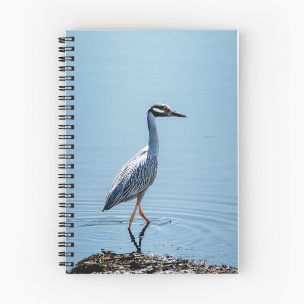 Item preview, Walking in Water - Yellow Crowned Night Heron designed and sold by TinyDinoDesigns.