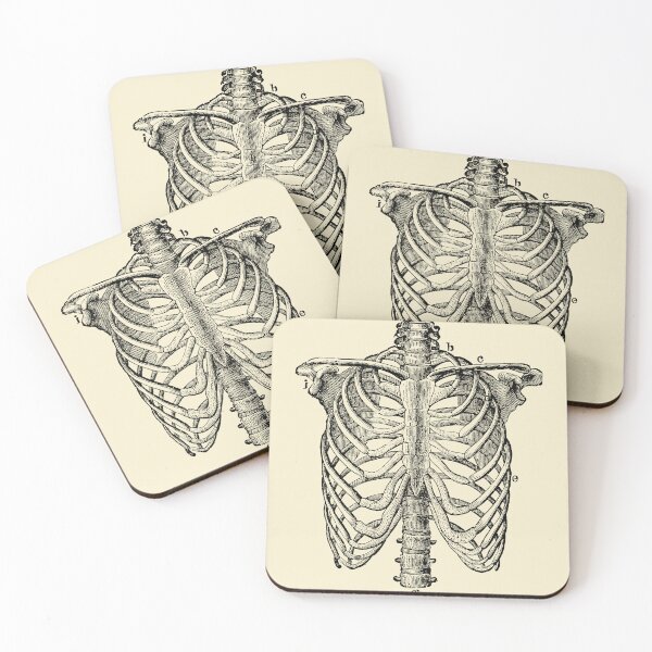 Item preview, Human Rib Cage Anatomy Engraving, from The Human Body by H. Newell Martin, 1884 designed and sold by Exhumed Archives.