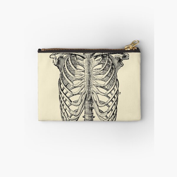 Item preview, Human Rib Cage Anatomy Engraving, from The Human Body by H. Newell Martin, 1884 designed and sold by Exhumed Archives.