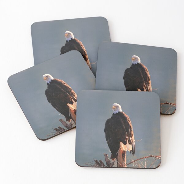 Item preview, Bald Eagle in Haines designed and sold by zumi.