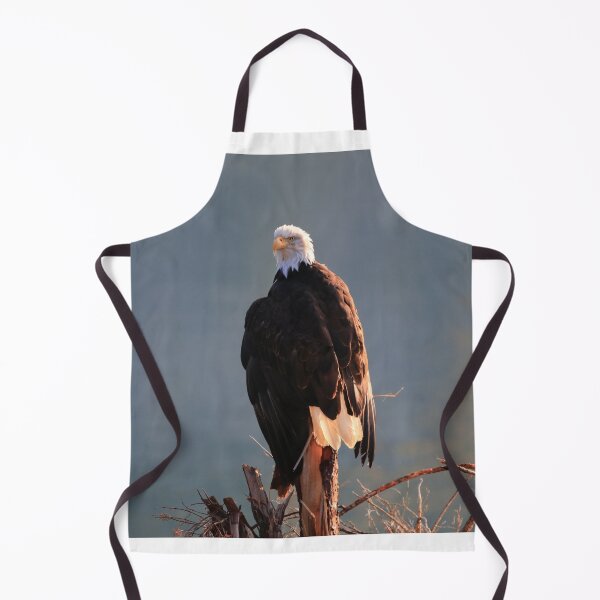 Item preview, Bald Eagle in Haines designed and sold by zumi.