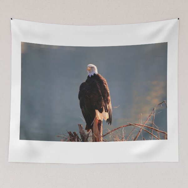 Item preview, Bald Eagle in Haines designed and sold by zumi.