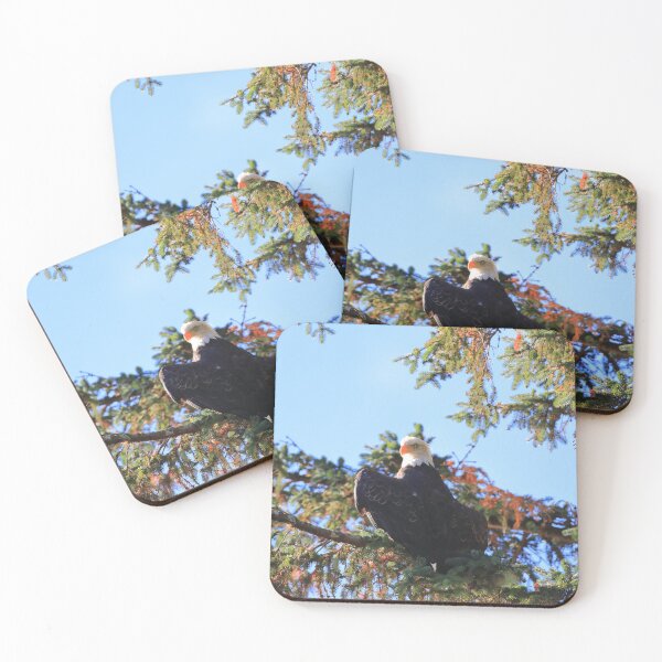 Item preview, Bald eagle in Haines II designed and sold by zumi.