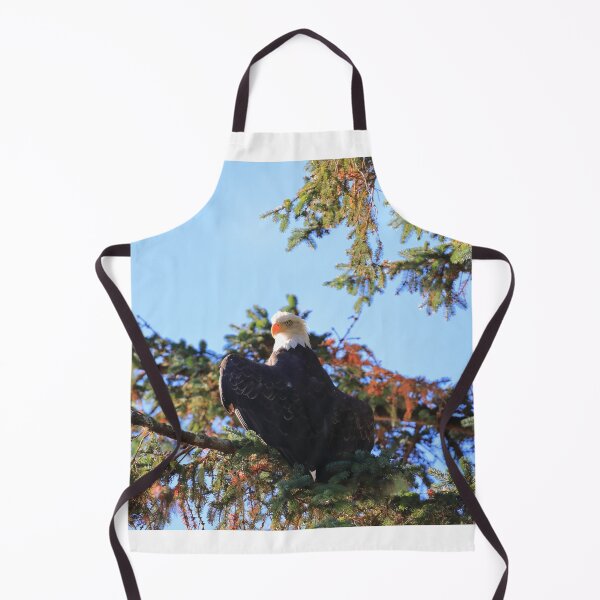 Item preview, Bald eagle in Haines II designed and sold by zumi.