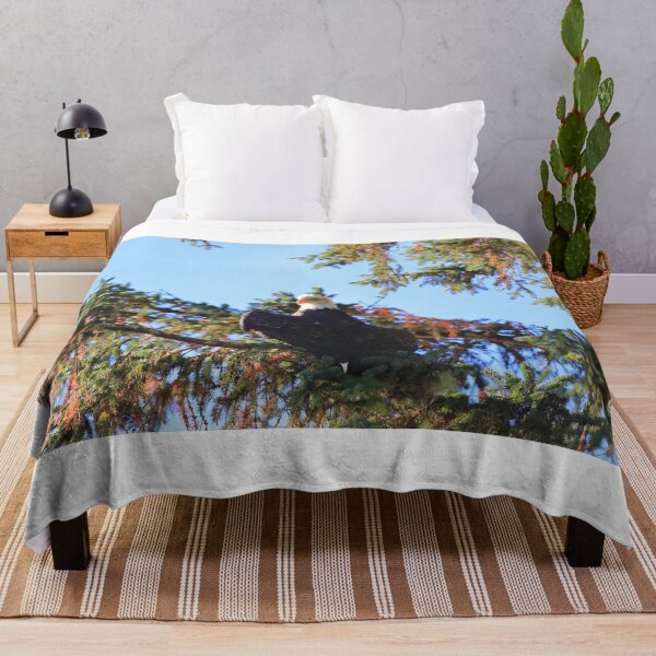 Item preview, Bald eagle in Haines II designed and sold by zumi.