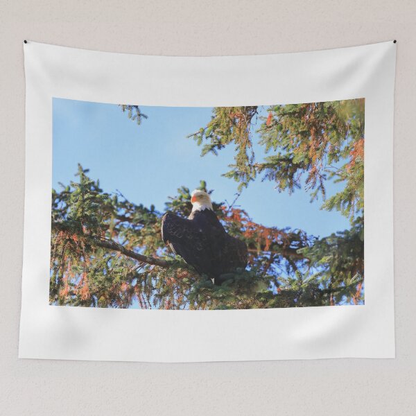 Item preview, Bald eagle in Haines II designed and sold by zumi.