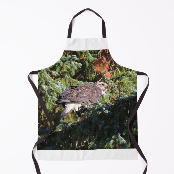 Item preview, Feeding Bald eagle designed and sold by zumi.