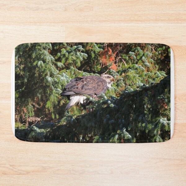Item preview, Feeding Bald eagle designed and sold by zumi.