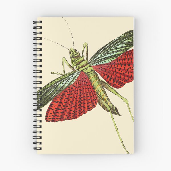 Item preview, Triple-Spined Locust, Hand Colored Engraving from The Naturalist’s Miscellany by George Shaw, 1789 to 1813 designed and sold by Exhumed Archives.