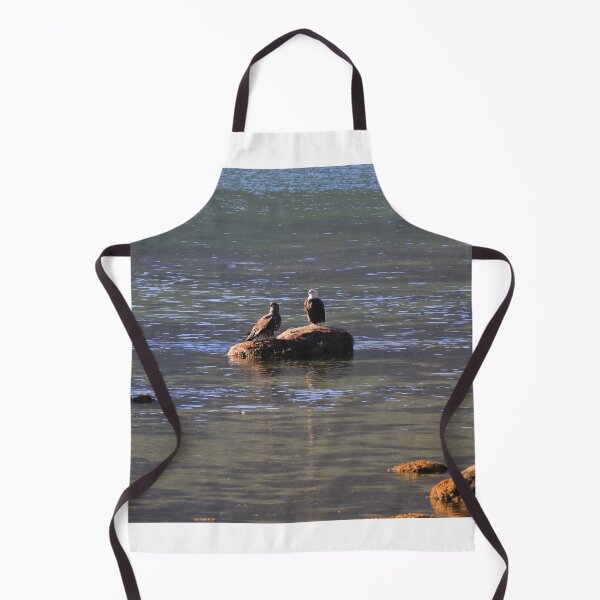 Item preview, Bald eagles, young and adults designed and sold by zumi.