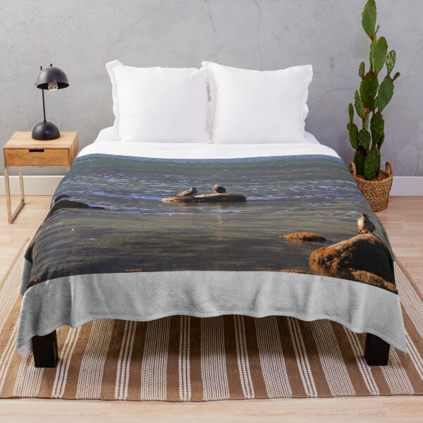 Item preview, Bald eagles, young and adults designed and sold by zumi.