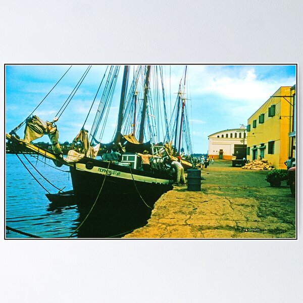 Item preview, St. Thomas, Virgin Islands, July 6, 1960, Docked Wooden Sailing Schooner designed and sold by AMacGPhilly.