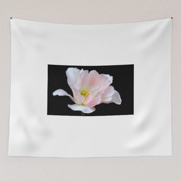 Item preview, Pink on Black designed and sold by vette.